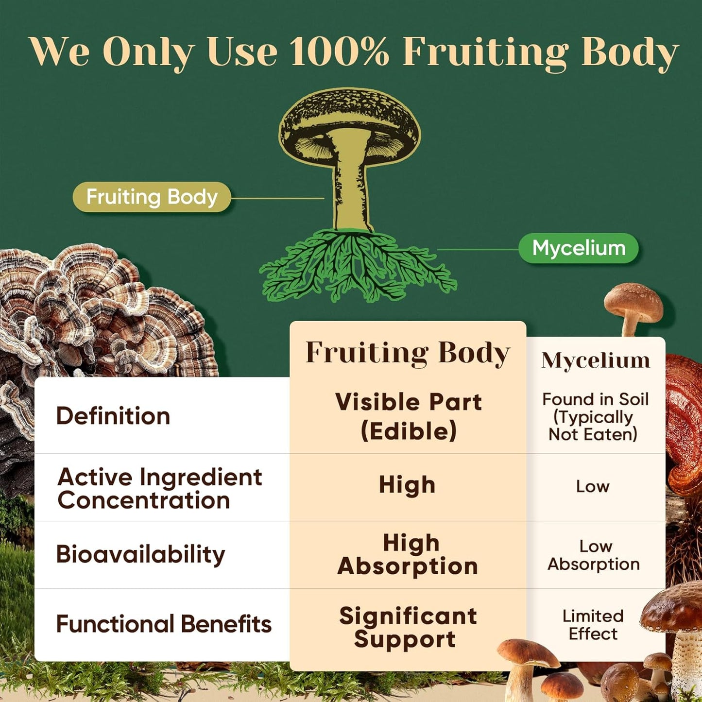 Venture Pal Mushroom Adaptogen Blend – Filler-Free, Fruiting-Body-Only Powder for an Uncluttered Pantry