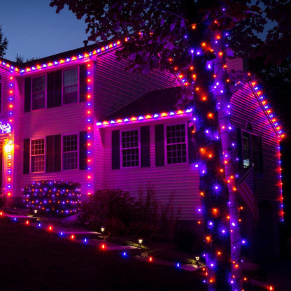 weillsnow Seasonal String Lights Gift 500 LED – Memory and Timer Function Lights for the Hostess, Mom, and Friend