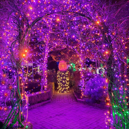 weillsnow Seasonal String Lights Gift 500 LED – Memory and Timer Function Lights for the Hostess, Mom, and Friend