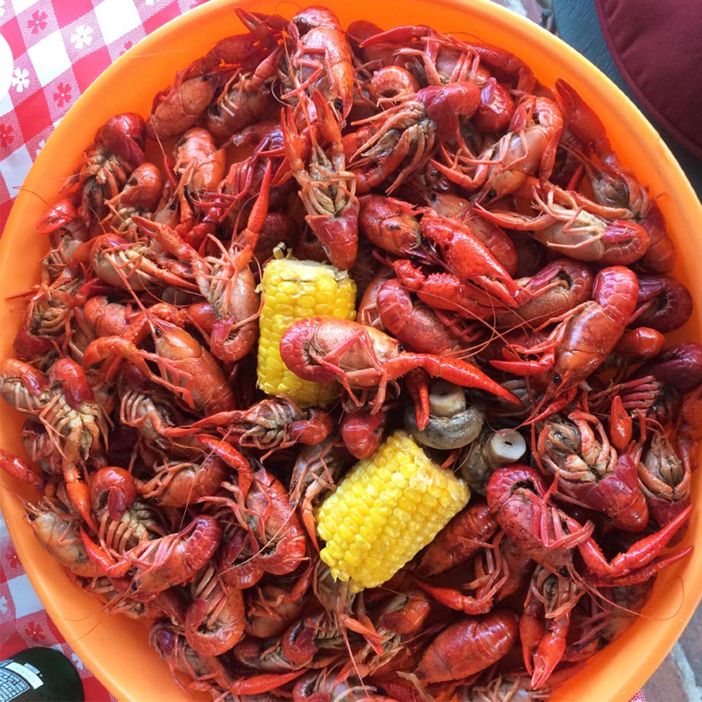 Zatarain's Crawfish, Shrimp & Crab Boil 4.5 lb – Holiday Gift Basket Staple for Cajun Food Enthusiasts