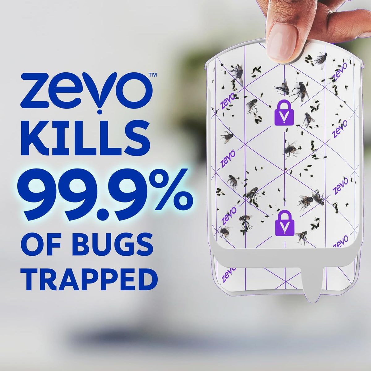 Zevo Indoor Bug Trap – Living Room Fruit Fly Catcher Near Fruit Bowls, Blends With Neutral and Farmhouse Interiors